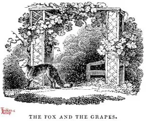 Whittingham - Fox and Grapes