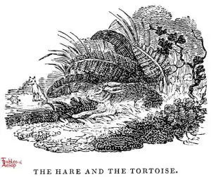 Whittingham - Hare and Tortoise
