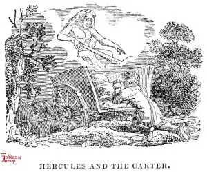 Whittingham - Hercules and Carter