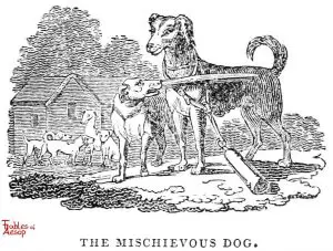 Whittingham - Michevious Dog