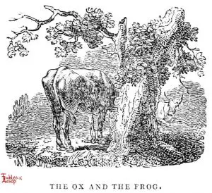 Whittingham - Ox and Frog