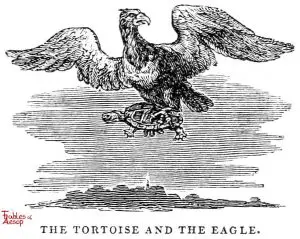 Whittingham - Tortoise and Eagle
