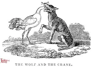 Whittingham - Wolf and Crane