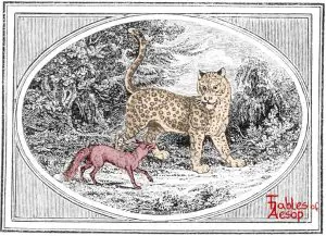 Bewick - Leopard and Fox