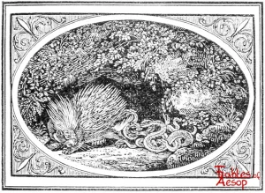 Bewick - 0165 - Porcupine and Snakes